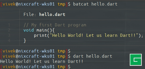 Comment installer dart sous linux et configurer vim en tant qu'idéal ?