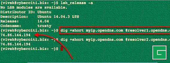 Comment trouver mon adresse IP publique à partir d'un client Linux ?