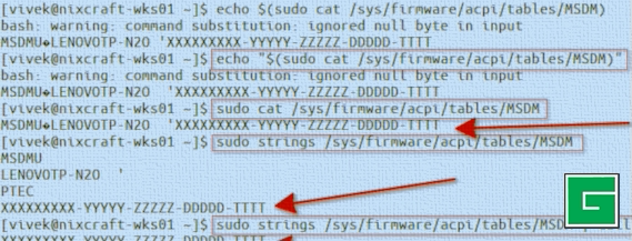 Commande Linux find windows 10/11 oem product key
